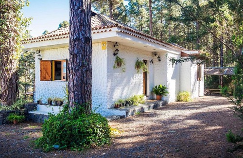 Icod de los Vinos Casa | Holiday Home Sendero floral