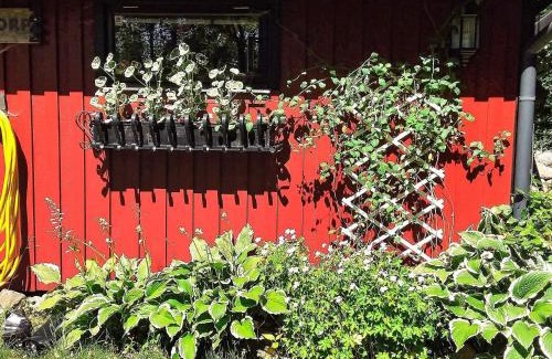 Tjornarp Casa | Holiday home TJÖRNARP VII
