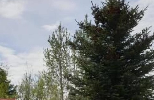 Blaskogabyggd Casa | Casa de vacaciones Geysir para 1 - 4 personas con 2 dormitorios - Casa de vacaciones