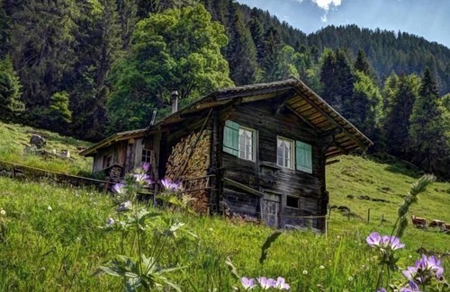 Goldswil Chalet De Esquí | Casa de vacaciones Gündlischwand para 1 - 2 personas con 1 dormitorio - Casa de vacaciones independi