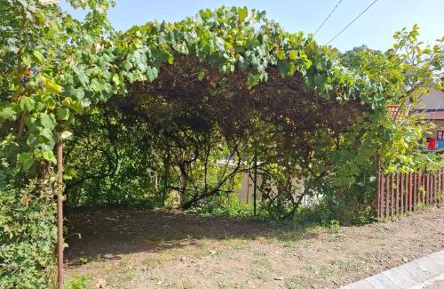 Magyarhertelend Casa | Holiday House Hertelend