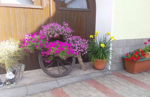 Brez Apartamento | CASA DE VACACIONES IRIS, Trentino, Val di Non, unas vacaciones relajantes en contacto con la naturaleza