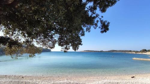 Sikici Apartamento | Holiday House Lea
