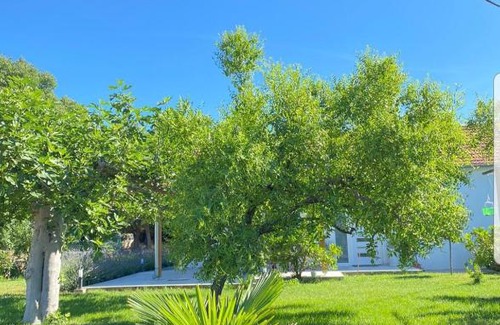 Sukosan Villa | Holiday House Lucia