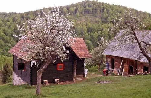 Saliste Casa | Casa de vacaciones Vale para 1 - 4 personas - Casa de vacaciones