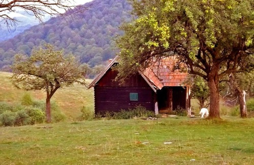 Saliste Casa | Casa de vacaciones Vale para 1 - 4 personas - Casa de vacaciones