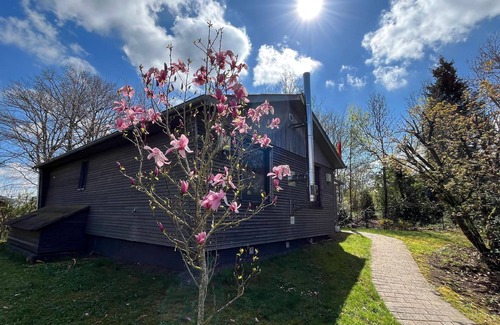 Voehl Casa | Casa de vacaciones Vöhl para 1 - 4 personas con 2 dormitorios - Casa de vacaciones