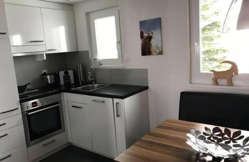 Wildhaus Chalet De Esquí | Casa de vacaciones Wildhaus para 1 - 5 personas con 2 dormitorios - Cabaña