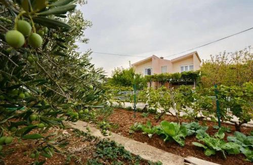 Kastel Stafilic Casa | Holiday house with a parking space Kastel Stafilic, Kastela - 23408