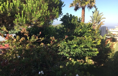 Vila Cha Casa | Holiday house with side sea view, 200 meters from the beach