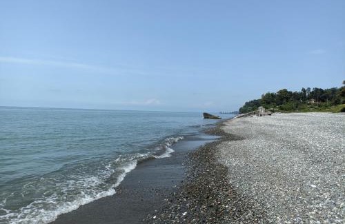 Mtsvane Kontskhi Casa | Holiday in Makhindjauri