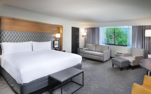 Asheville Hotel | Holiday Inn Asheville East-Blue Ridge Pkwy by IHG