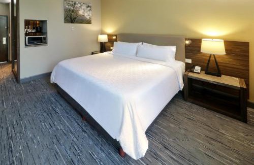 San Pedro Garza García Hotel | Holiday Inn Express & Suites Monterrey Valle by IHG