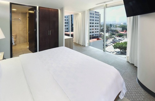 Coyoacán Hotel | Holiday Inn Hotel & Suites Medica Sur by IHG