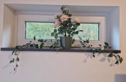 Hoor Casa | HOLIDAY NEST Family Apart Guest House 26m2 - Mysigt studio för 4 pers