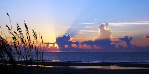 Myrtle Beach Hotel | Holiday Sands South