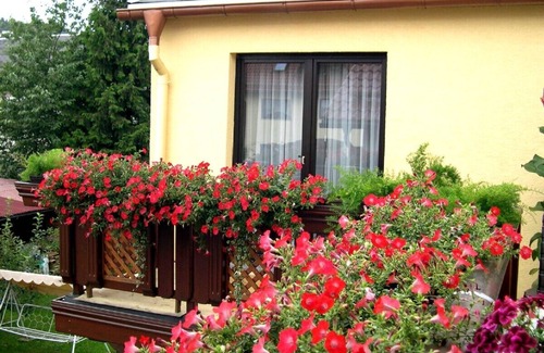 Seligenthal Apartamento | Apartamento con balcón, cerca del bosque de Turingia (Oberhof)