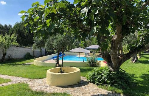 Pinheiro de Coja Casa | Holidayhome with bar and swimming pool