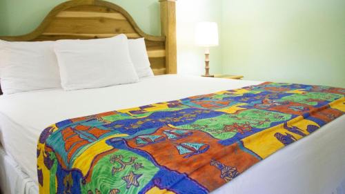 Runaway Bay Cama Y Desayuno | Holidays At Holiday Heaven