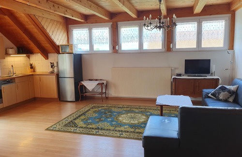 Endingen am Kaiserstuhl Apartamento | Vacaciones en la bodega del jardín natural Kaiserstuhl, con vistas a los viñedos.