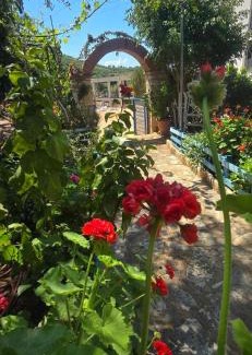 Himare Hotel | Holiwood