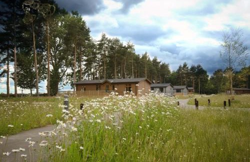 Ryther Cabina | Hollicarrs - White Rose Lodge