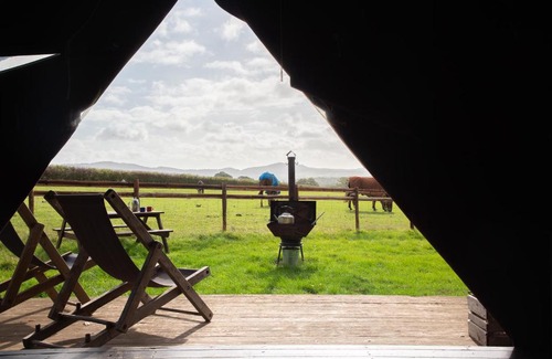 Malvern Otro | Hollings Hill Farm