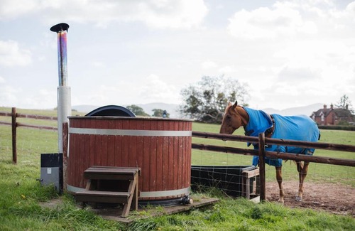 Malvern Otro | Hollings Hill Farm