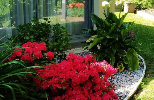 Ault Casa | HOLLY WOOD