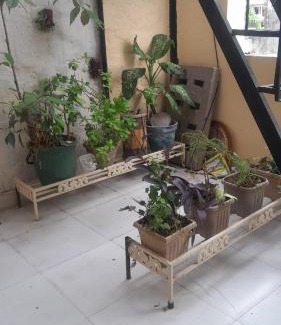 Panchkula Casa | Holy Hills Homestay