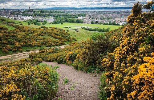 Gifford Apartamento | Holyrood Park Apartment near Royal Mile and Palace