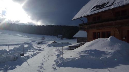 Breitnau Apartamento | Holzhof