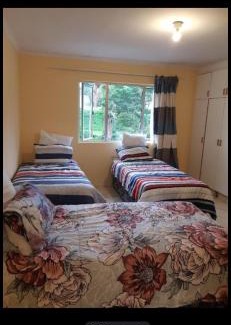 Pinetown Apartamento | holzner 52