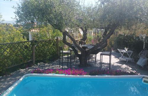 Borghesiana Casa | HomArt roof roman king