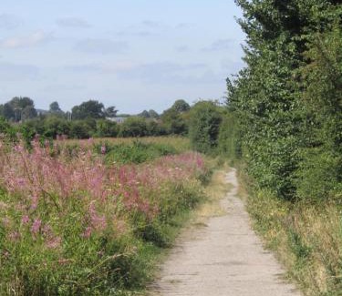 Bishopstrow Cama Y Desayuno | Home Farm Boreham