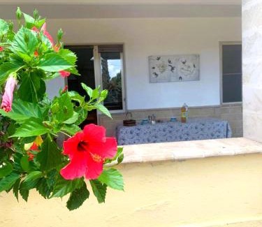 Fontanelle Apartamento | Home Fontanelle