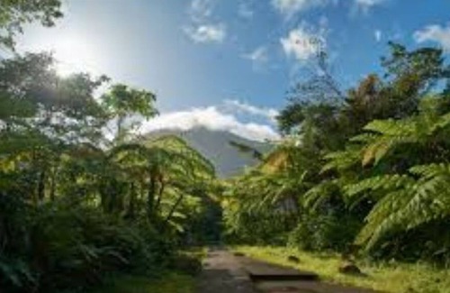Lauderdale Lakes Casa | Home Glamping blocks from the lake!
