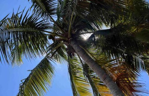 Ceiba Apartamento | Home in Ceiba near Ferry and Medio Mundo beach.