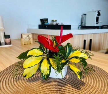 Candos Apartamento | Home Sweet Home