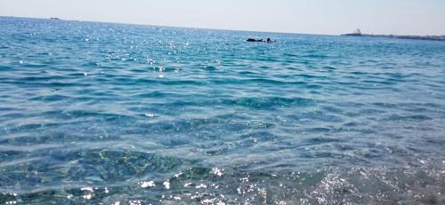 Sant'Anna Apartamento | Home Tropicana