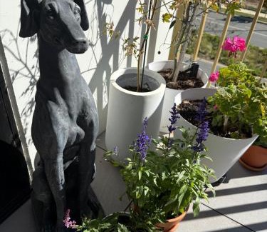 Googong Apartamento | Home - Yard Apartment - Googong & Queanbeyan