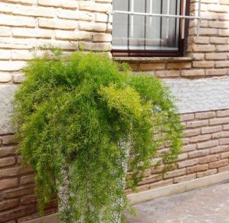 Keratea Apartamento | Home4U Κερατέα apt5, just 17Km from airport