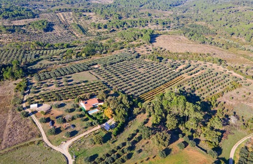Camparca Villa | Homerez - Villa a 12 km de la playa para 6 pers. con piscina en Carcavelos