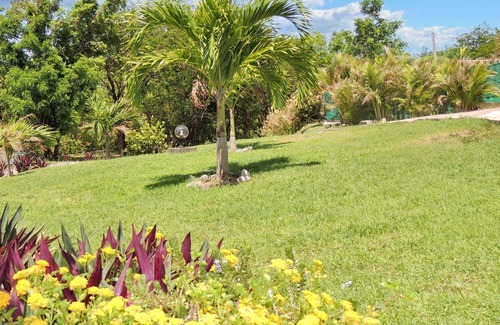 Malendure Apartamento | Homerez - Apartamento en Bouillante