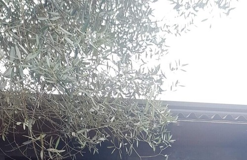 Sant'Antonio Abate Casa | Homerez - Casa a 5 km de la playa para 4 pers. con jardín en Sant'Antonio Abate