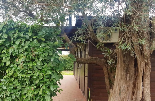 Sant'Antonio Abate Casa | Homerez - Casa a 5 km de la playa para 4 pers. con jardín en Sant'Antonio Abate