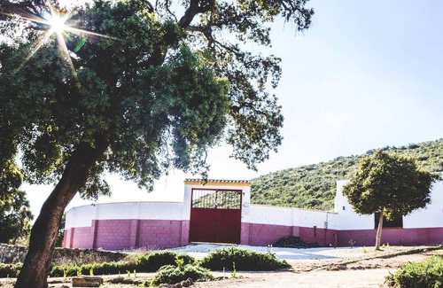 Estepa Casa | Homerez - Bonita casa para 6 pers. con piscina compartida y terraza en Estepa