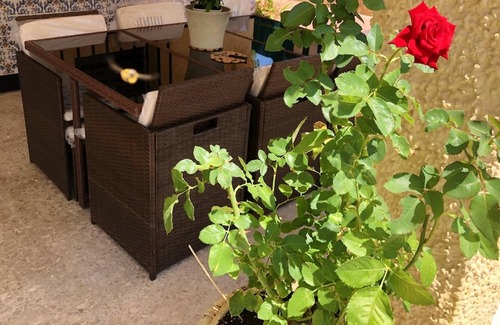Olocau Villa | Homerez - Espaciosa villa para 8 pers. con piscina, jardín y terraza en Olocau