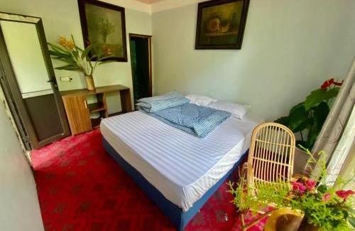 Dien Bien Otro | Homestay Điện Biên- Thung Lũng Hoa Hồng