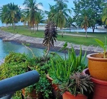 Taman Haji Zainal Apartamento | Homestay Atas Air - melayu sahaja